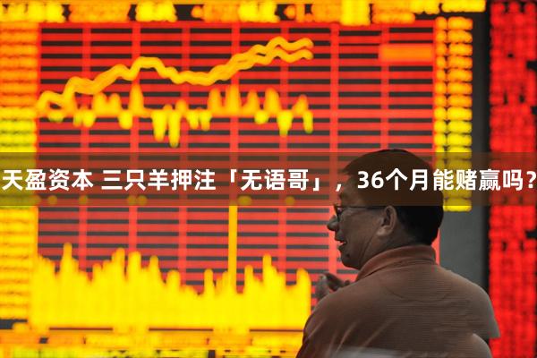 天盈资本 三只羊押注「无语哥」，36个月能赌赢吗？