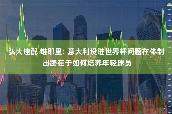 弘大速配 维耶里: 意大利没进世界杯问题在体制 出路在于如何培养年轻球员