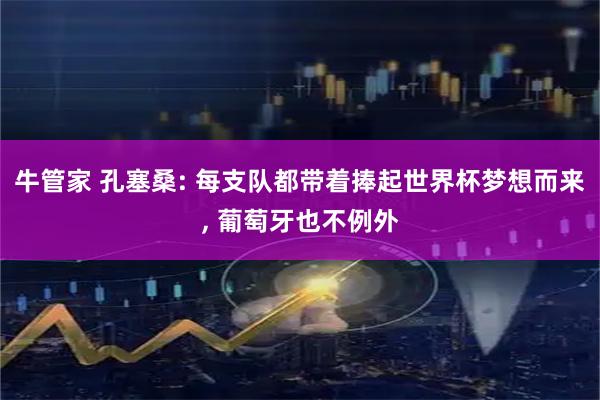 牛管家 孔塞桑: 每支队都带着捧起世界杯梦想而来, 葡萄牙也不例外