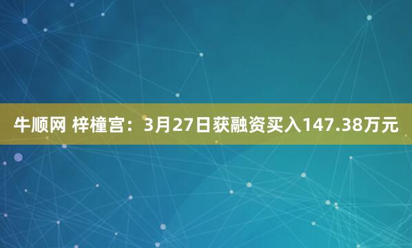 牛顺网 梓橦宫：3月27日获融资买入147.38万元