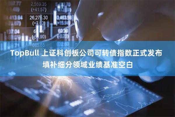 TopBull 上证科创板公司可转债指数正式发布 填补细分领域业绩基准空白