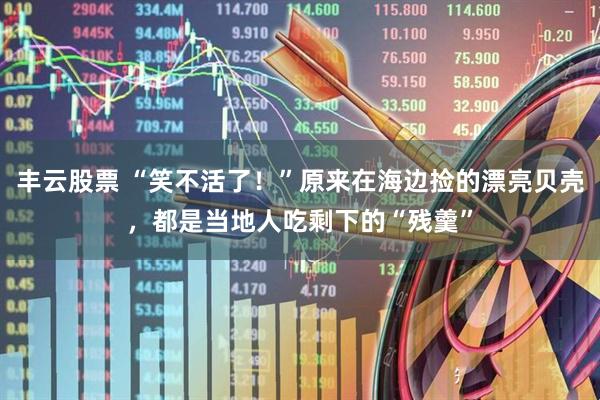 丰云股票 “笑不活了！”原来在海边捡的漂亮贝壳，都是当地人吃剩下的“残羹”