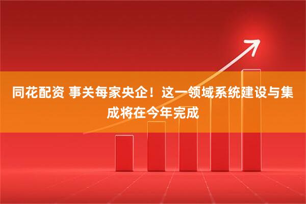 同花配资 事关每家央企！这一领域系统建设与集成将在今年完成