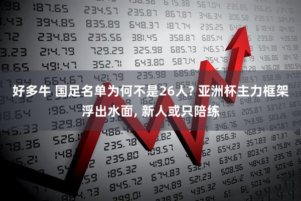 好多牛 国足名单为何不是26人? 亚洲杯主力框架浮出水面, 新人或只陪练