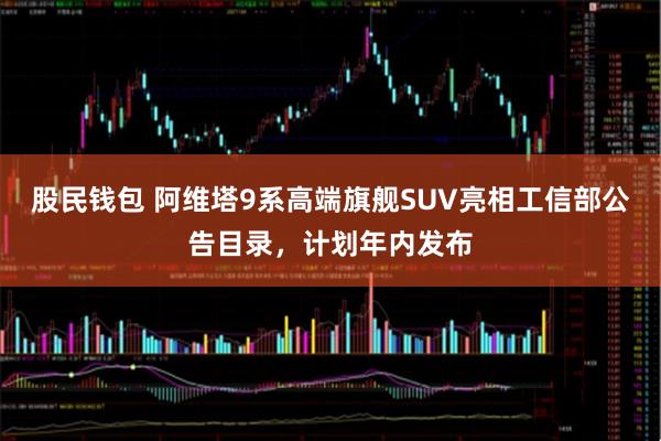 股民钱包 阿维塔9系高端旗舰SUV亮相工信部公告目录，计划年内发布