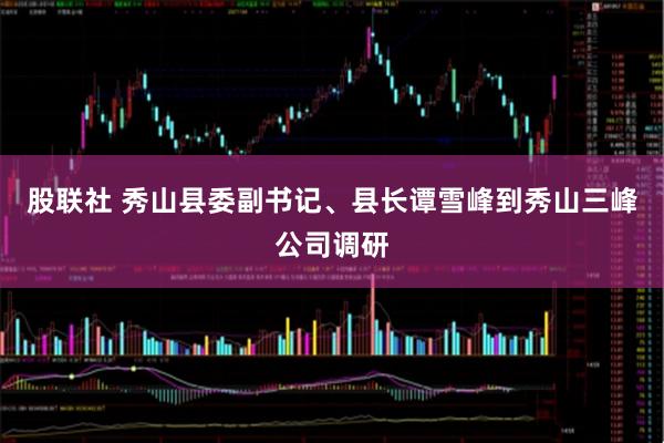 股联社 秀山县委副书记、县长谭雪峰到秀山三峰公司调研