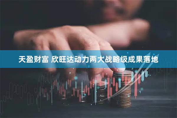 天盈财富 欣旺达动力两大战略级成果落地