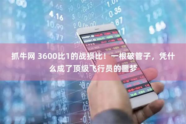 抓牛网 3600比1的战损比！一根破管子，凭什么成了顶级飞行员的噩梦