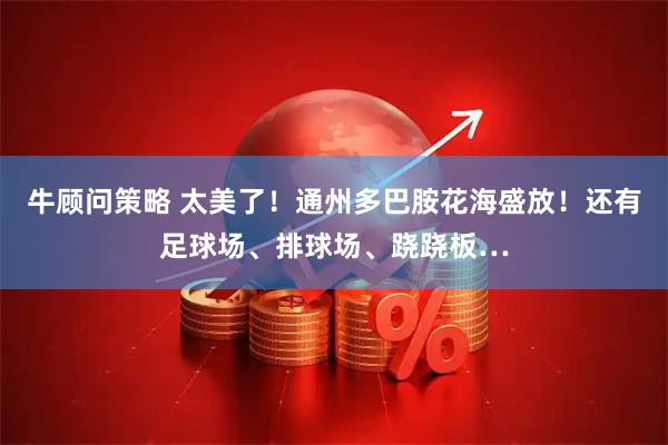 牛顾问策略 太美了！通州多巴胺花海盛放！还有足球场、排球场、跷跷板…